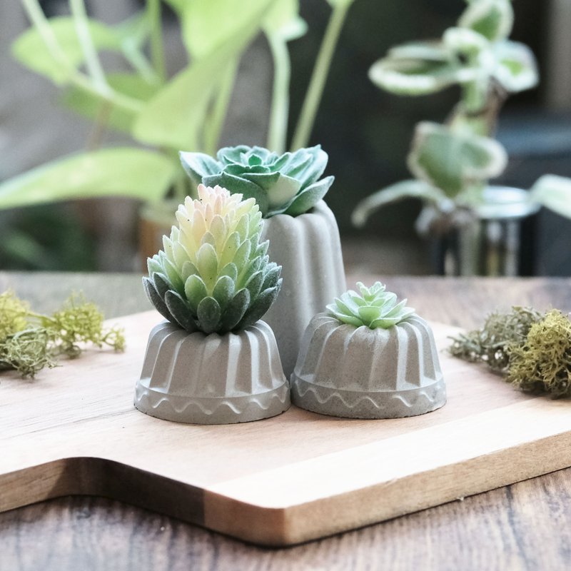 水泥甜点组合 仿真多肉 可丽露水泥盆栽 甜点盆栽 水泥点心 - 植栽/盆栽 - 水泥 灰色