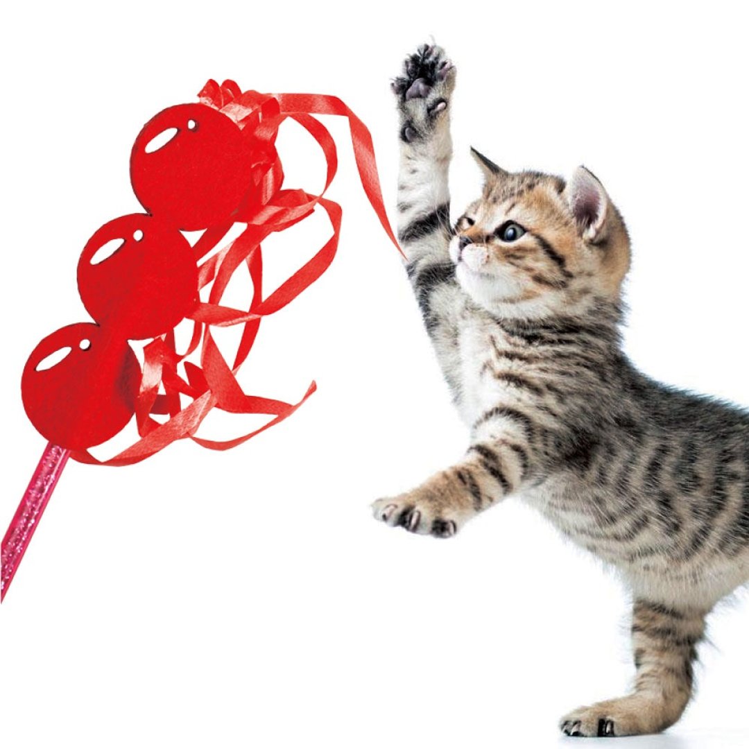 【日本CattyMan】超可爱食物造型 ~ 面糖奶肠逗猫棒 - 4支装 - 玩具 - 其他材质 多色