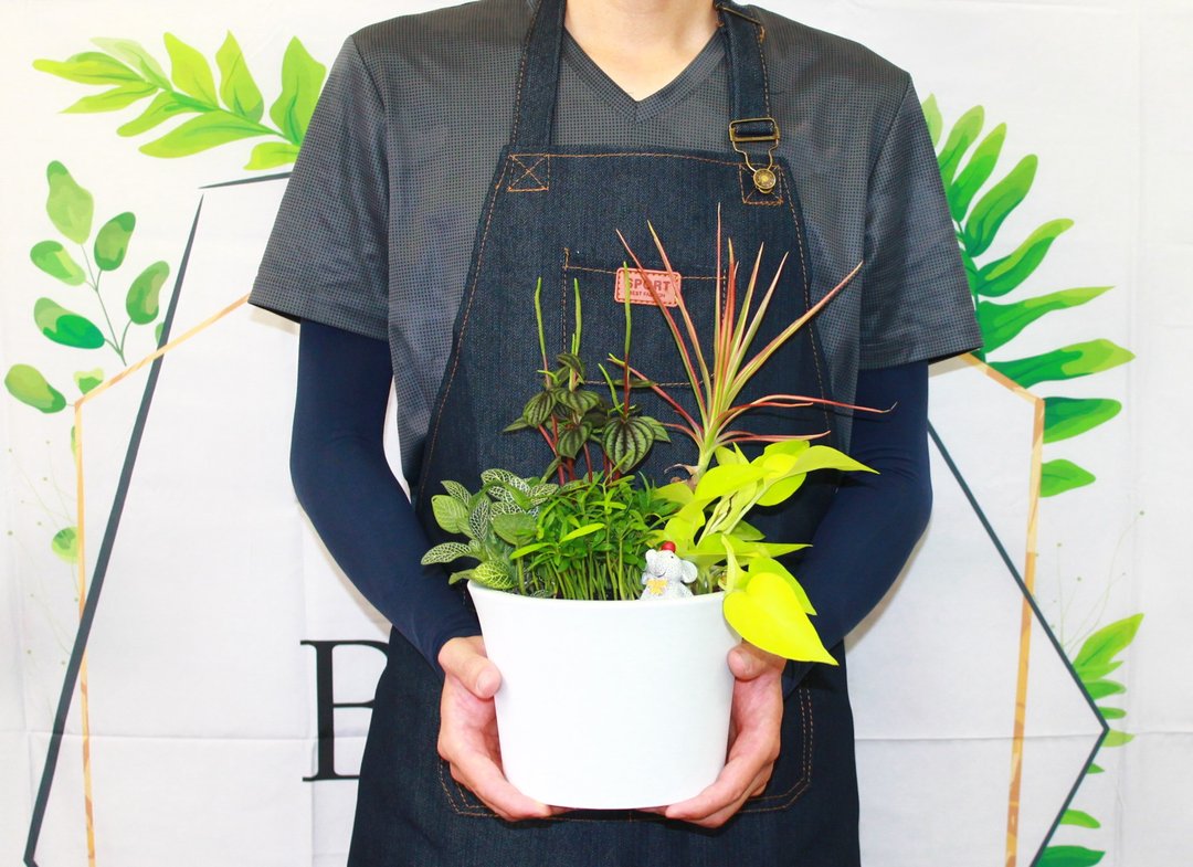 DIY手作材料包 五行开运盆栽设计 吉祥如意款(含教学电子档) - 植栽 - 植物．花 白色