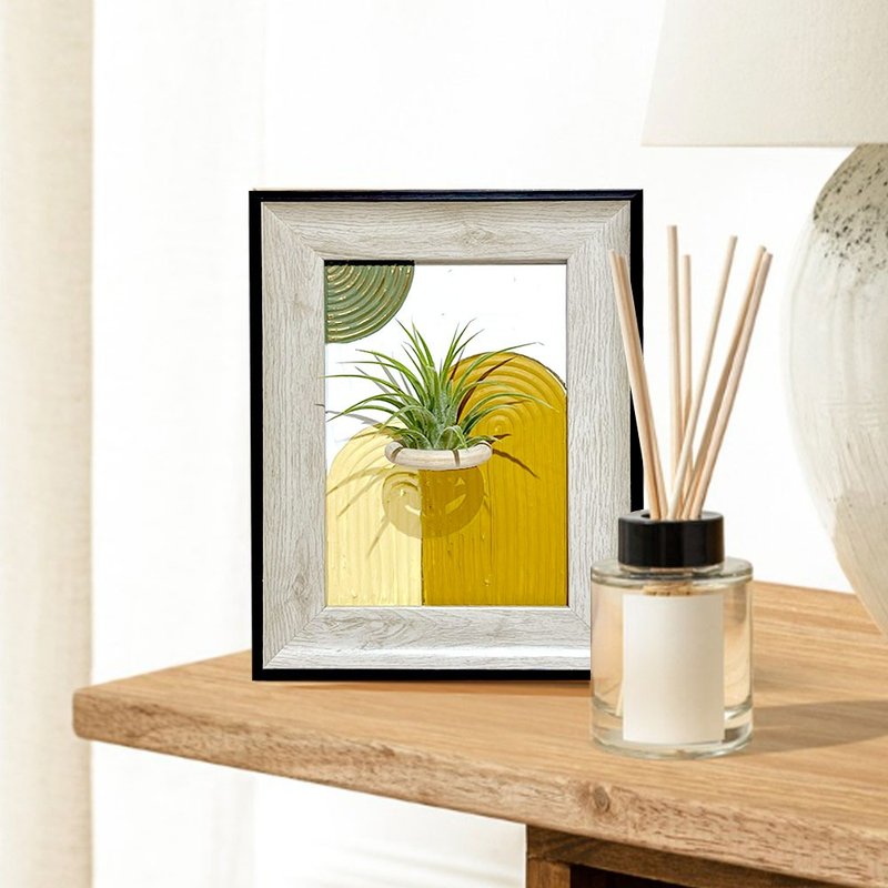 【角落小森林】空气凤梨肌理画手作工作坊 - 植栽 - 植物．花 