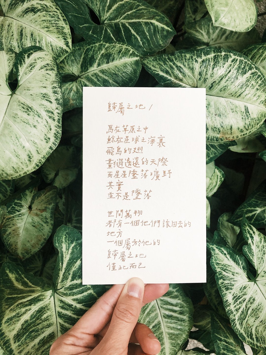 荒凉手记。归属之地 文字明信片 青青的岛 - 卡片/明信片 - 纸 