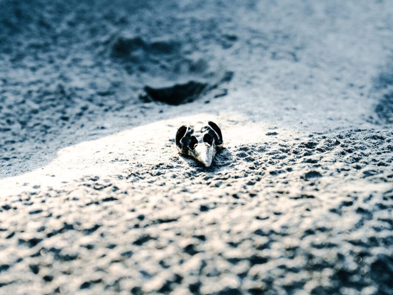 【鸦#011】纯银坠饰 - purebring - 项链 - 纯银 银色