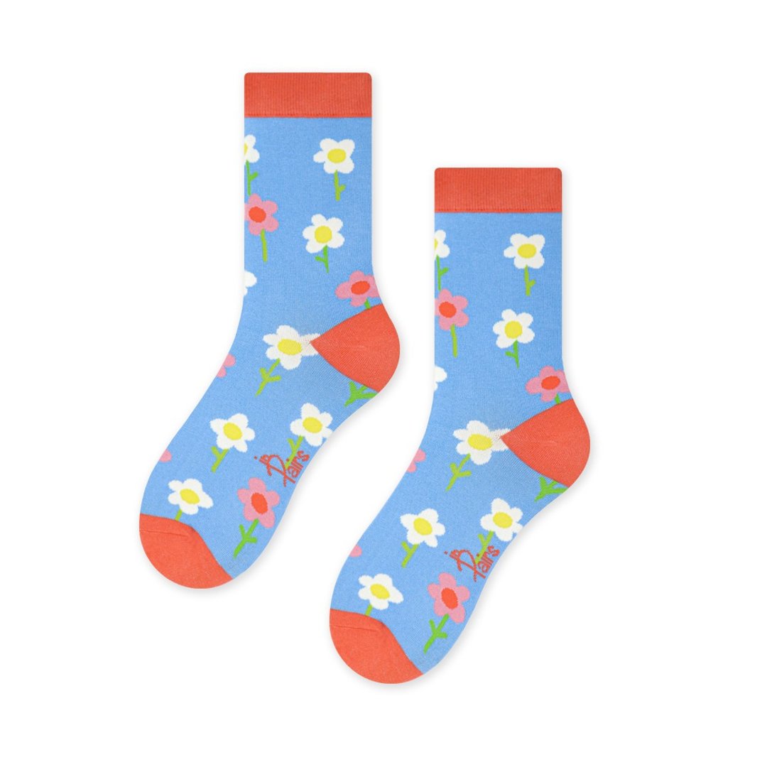 【in Pairs】Blue Daisiesg | 中筒袜 袜子 潮袜 - 袜子 - 棉 多色