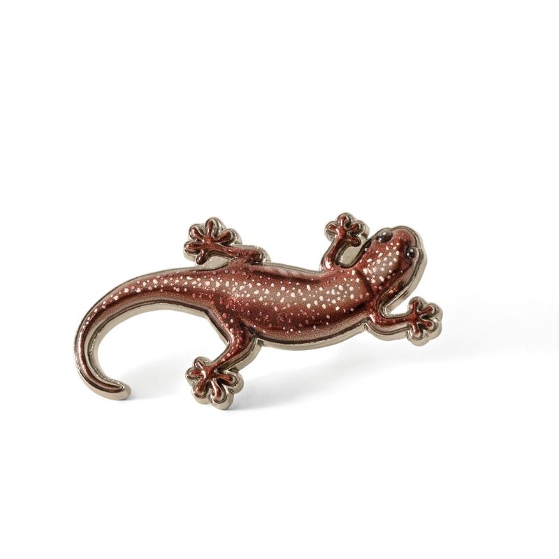 台湾原生动物徽章 / 台湾山椒鱼 - 徽章/别针 - 其他金属 