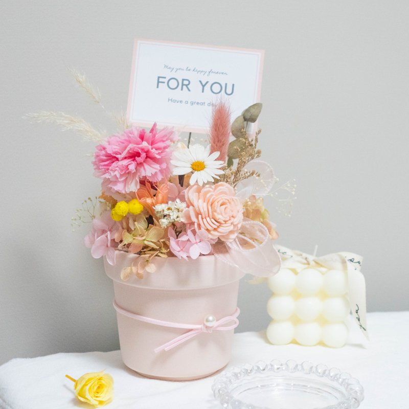 冰沙粉 康乃馨 永生花 干燥花 居家装饰 母亲节 开幕礼 - 干燥花/捧花 - 植物．花 粉红色