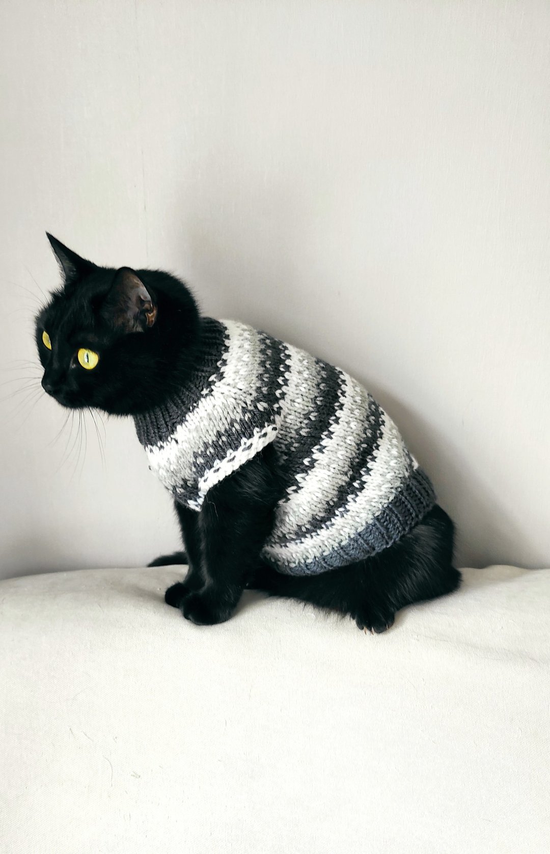 动物毛衣 猫毛衣 针织宠物服装 - 衣/帽 - 羊毛 