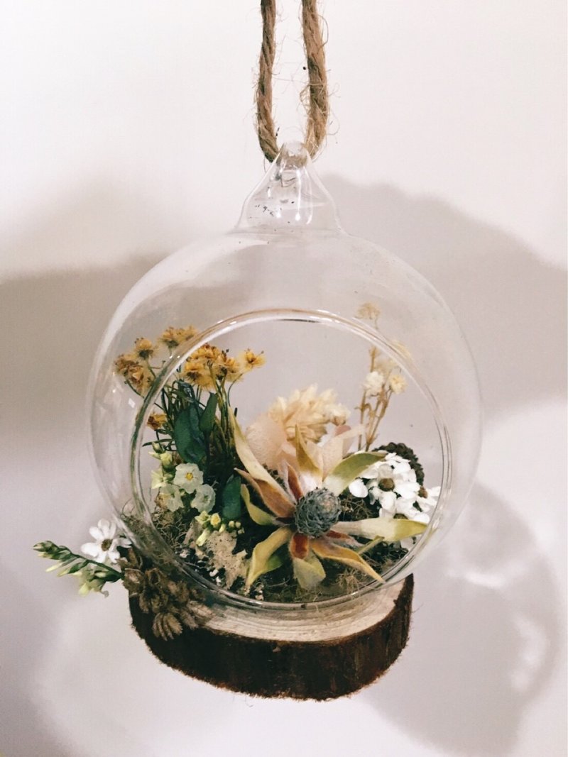 冥思-干燥花水晶球 - 植栽/盆栽 - 植物．花 多色