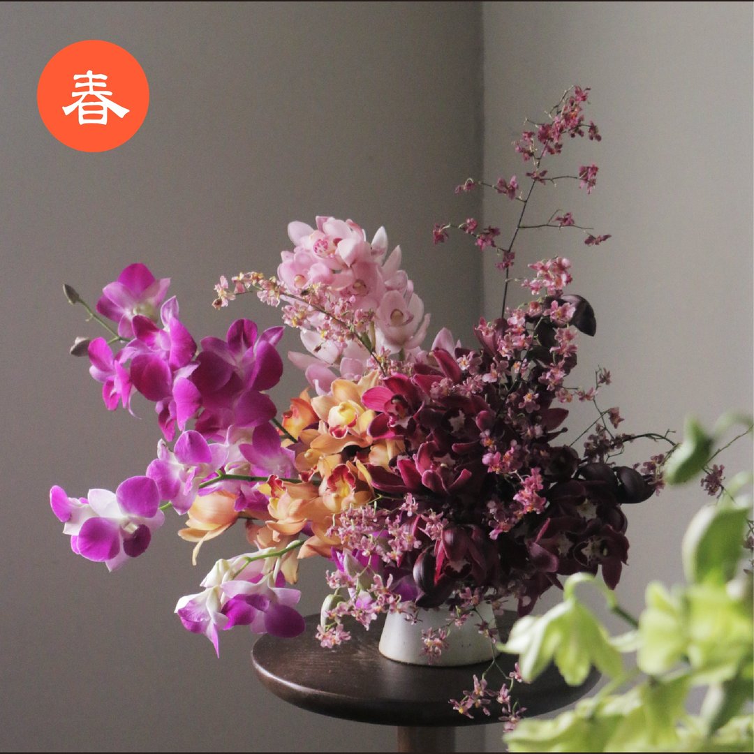 【龙年花礼。兰花】春节。开幕。生日。祝贺花礼。桌花 - 植栽/盆栽 - 植物．花 红色