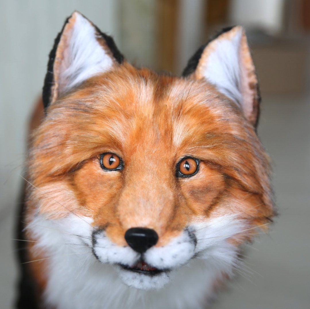 Fox realistic plush animals. Ooak toy. Red fox stuffed toy - 玩偶/公仔 - 其他材质 橘色