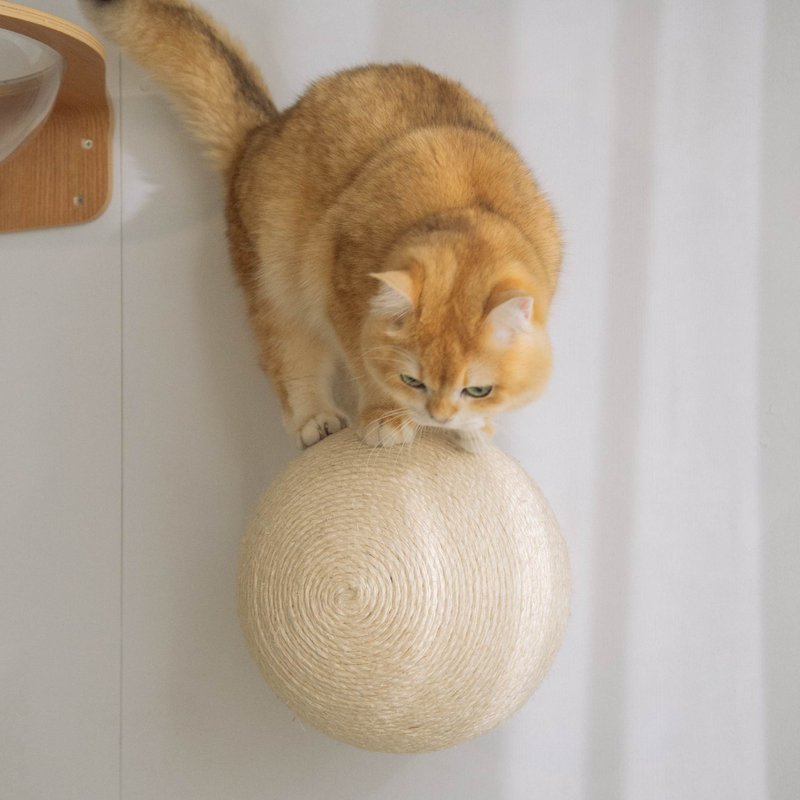 Caturn喵王星 N25 - 抓板/跳台 - 其他材质 多色