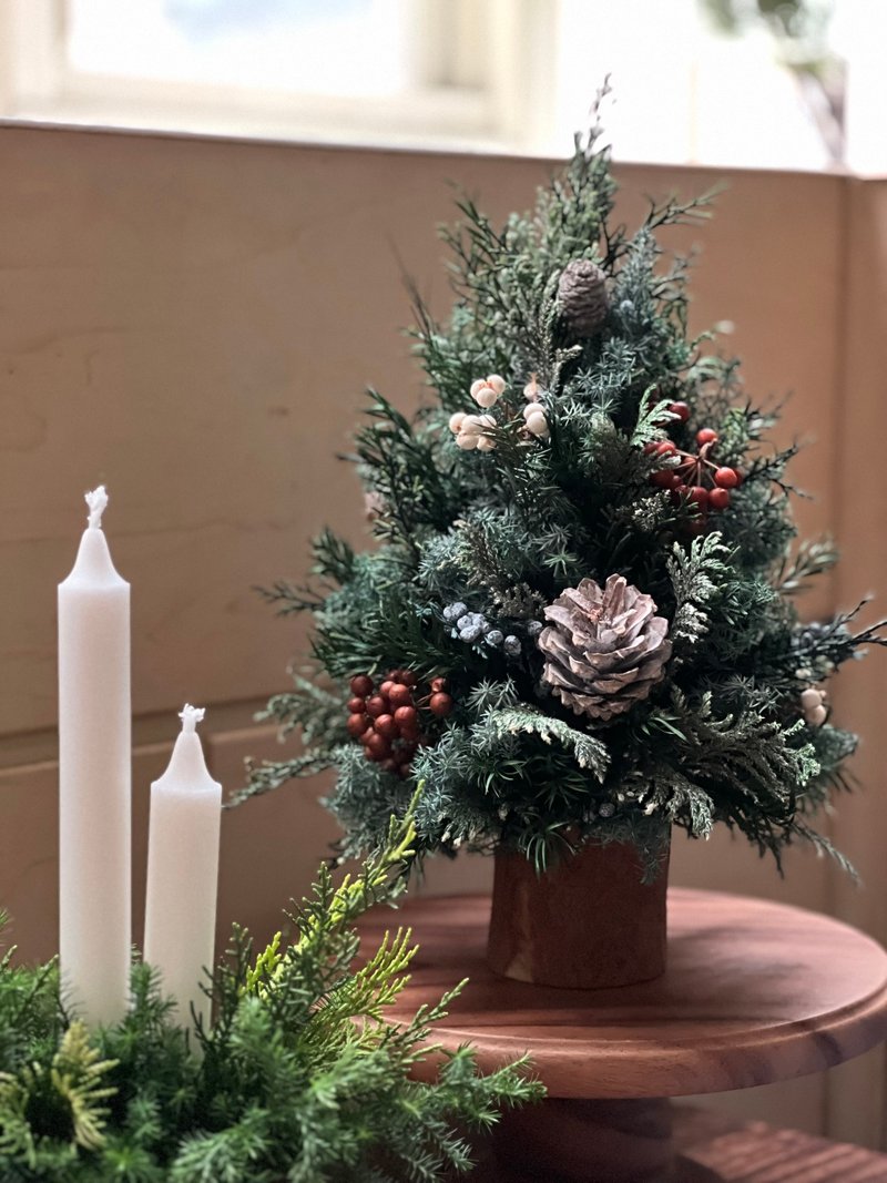 永生圣诞树/桌上型圣诞树/永生雪松/圣诞布置/圣诞礼物 - 摆饰 - 植物．花 绿色