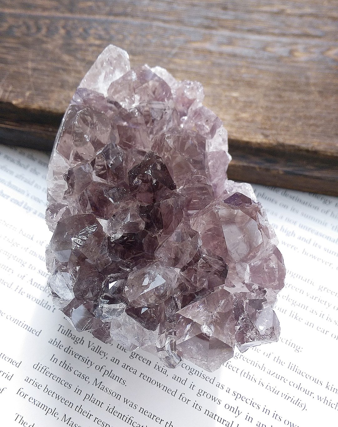 Amethyst  乌拉圭产地 原皮紫水晶  紫水晶晶镇 天然矿石 原矿 - 摆饰 - 其他材质 