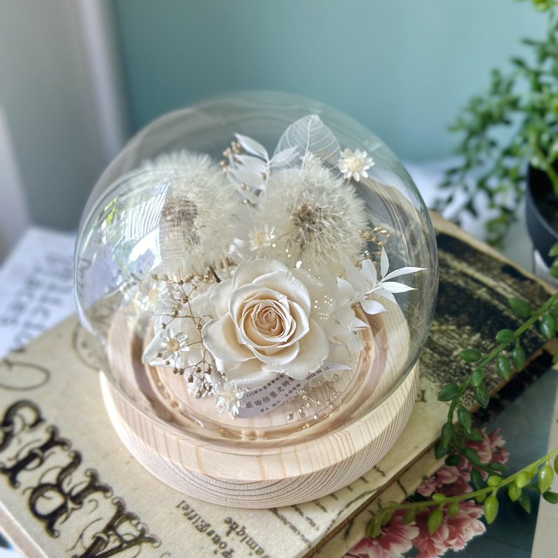 净 蒲公英玻璃罩  永生花玻璃罩盅  不凋花定制化礼物 - 干燥花/捧花 - 植物．花 