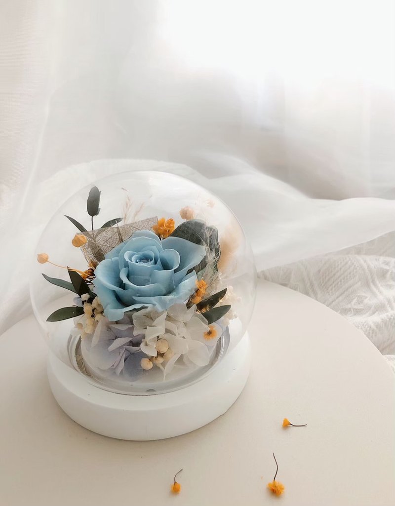永生花玻璃球 LED 夜灯 永生玫瑰花 纪念日 圣诞礼盒 定制化礼物 - 干燥花/捧花 - 植物．花 蓝色