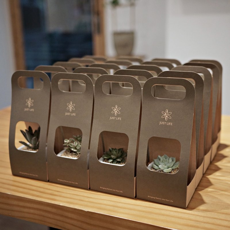 定制化礼物 | 企业ESG赠礼 | 婚礼小物 | 迷你多肉礼盆 | - 植栽/盆栽 - 植物．花 绿色