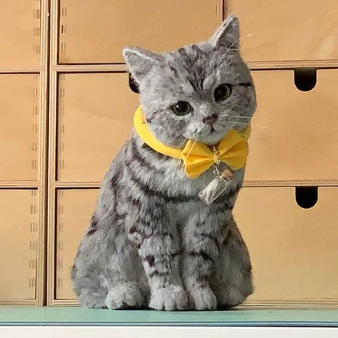 定制化礼物 逼真猫猫 羊毛毡 毛孩 宠物 娃娃 猫咪猫奴 似颜绘 d2 - 玩具 - 羊毛 多色