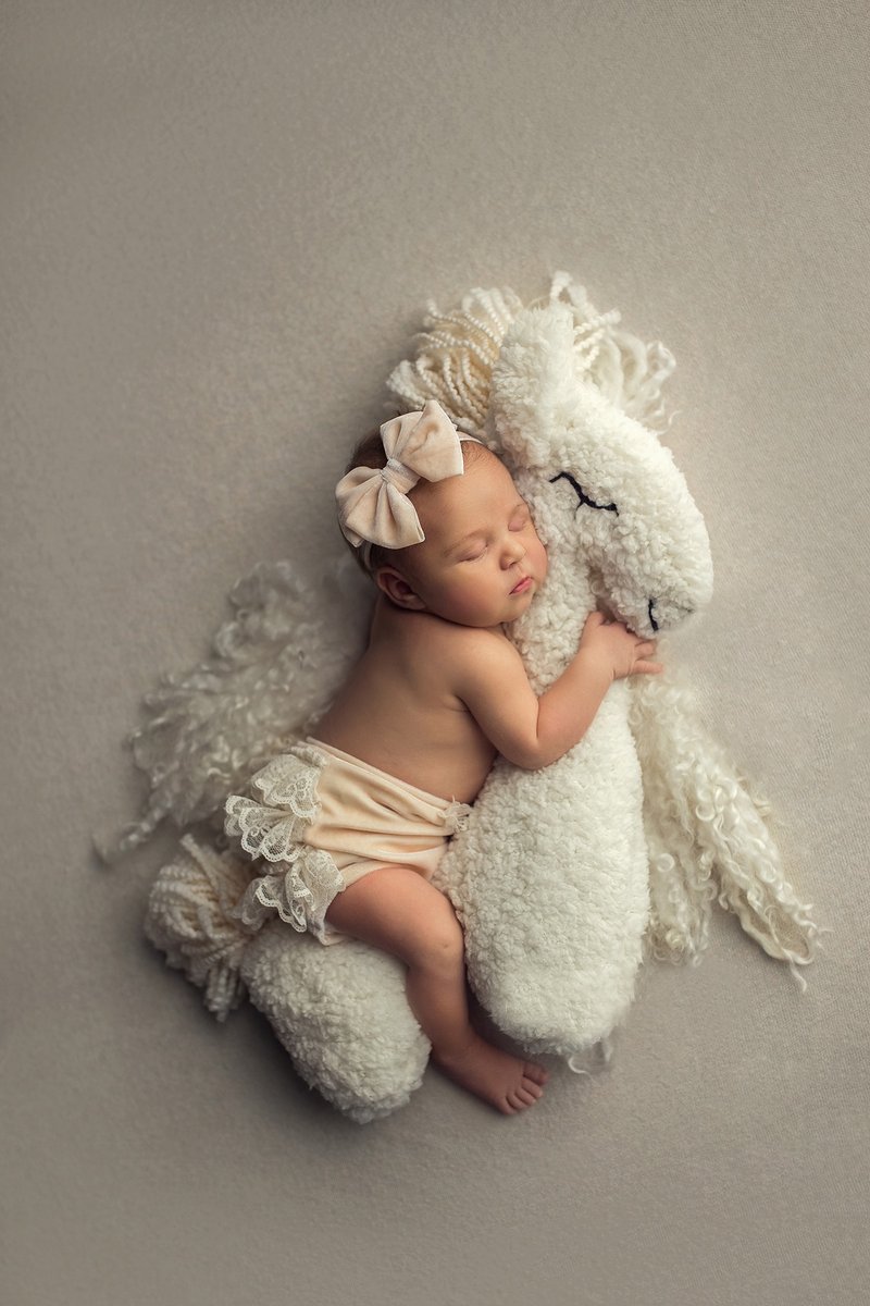 Posing toy for newborn photo shoots, Newborn Photography Props - 婴儿饰品 - 其他金属 