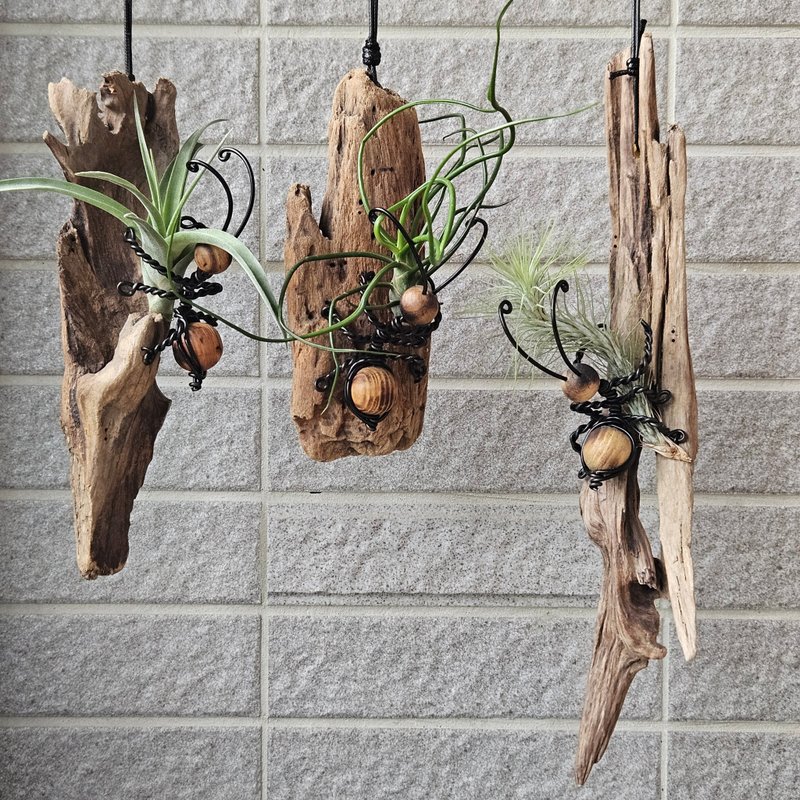 【蚂蚁上树】含空凤 - 摆饰 - 木头 咖啡色