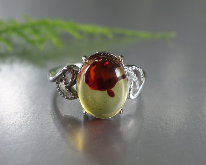 Amber 琥珀 天然波罗的海金珀 戒指 2.65克 植物珀 花珀 非二代琥 - 戒指 - 半宝石 多色