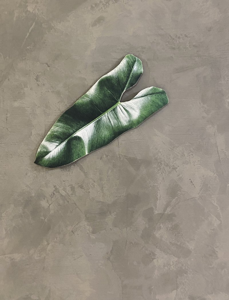 BLR 观叶植物 造型万用垫C4 龟背芋 蔓绿绒 彩叶芋 - 餐垫/桌巾 - 其他人造纤维 绿色