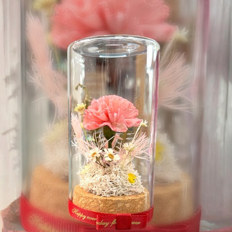 【阿玛斯兰花文创】康乃馨瓶中花/母亲节礼物/含礼物包装 - 干燥花/捧花 - 植物．花 