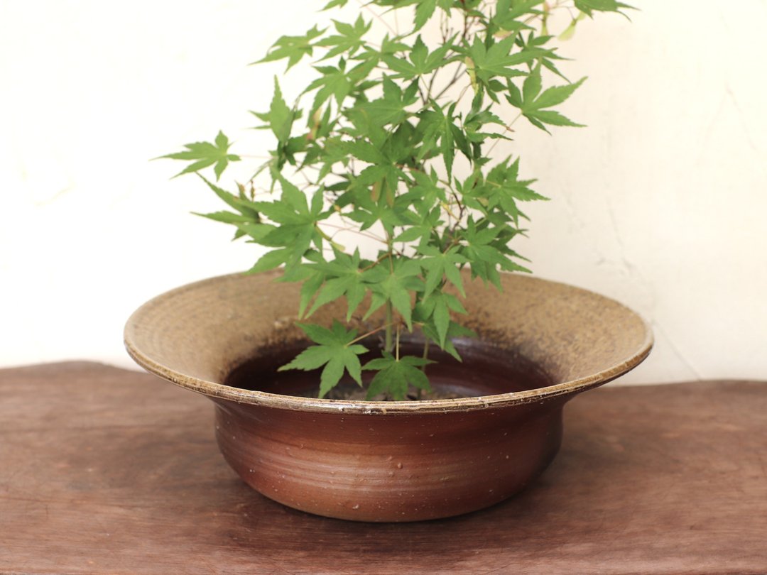 备前烧花瓶 h3-131 - 花瓶/陶器 - 陶 咖啡色