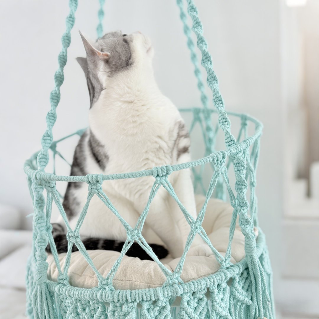 baby蓝流苏猫咪窝 治愈系猫窝 猫咪吊篮 - 床垫/笼子 - 棉 蓝色