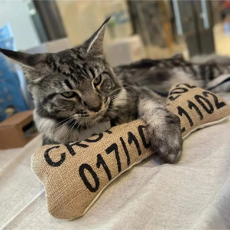 不求人狗骨头 / 捶背棒 - 玩具 - 棉．麻 卡其色