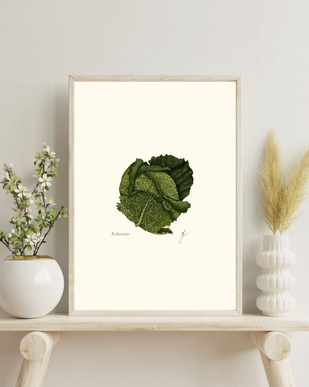 皱叶甘蓝植物画 蔬菜厨房挂画 数字下载 - 电子手绘真人画像/绘画/插画 - 其他材质 