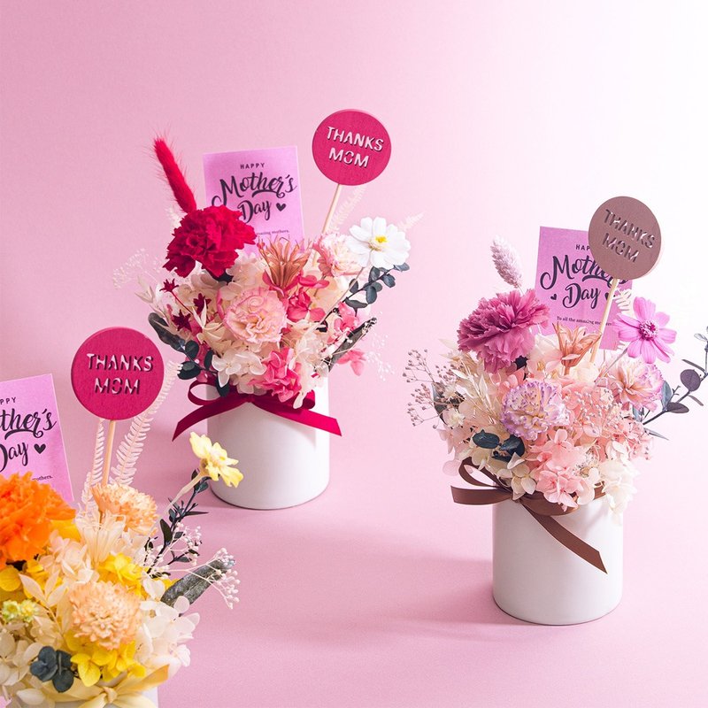 母亲节 无私的爱 永生康乃馨盆花 干燥花 索拉花 永生花 礼物 - 干燥花/捧花 - 植物．花 