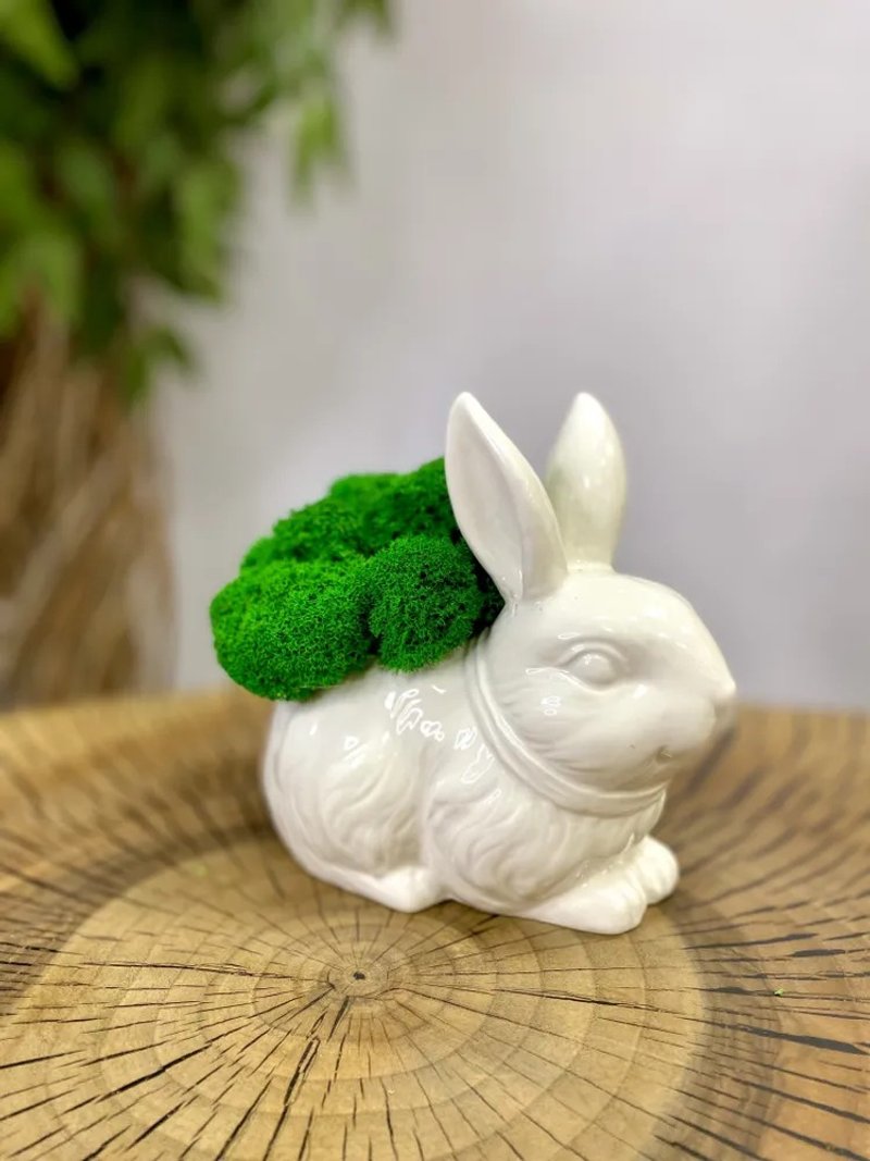 稳定苔、花盆、干燥花、装饰、装饰兔子 - 干燥花/捧花 - 植物．花 