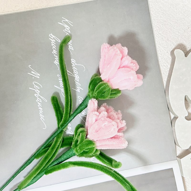 【手工订制】母亲节花束 妇女节花束 / 康乃馨花束 - 其他 - 其他材质 