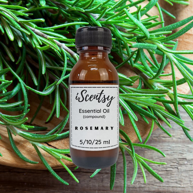 Thai Pure & Natural Essential Oil: Rosemary Essential Oil 100% - 香薰/精油/线香 - 其他材质 