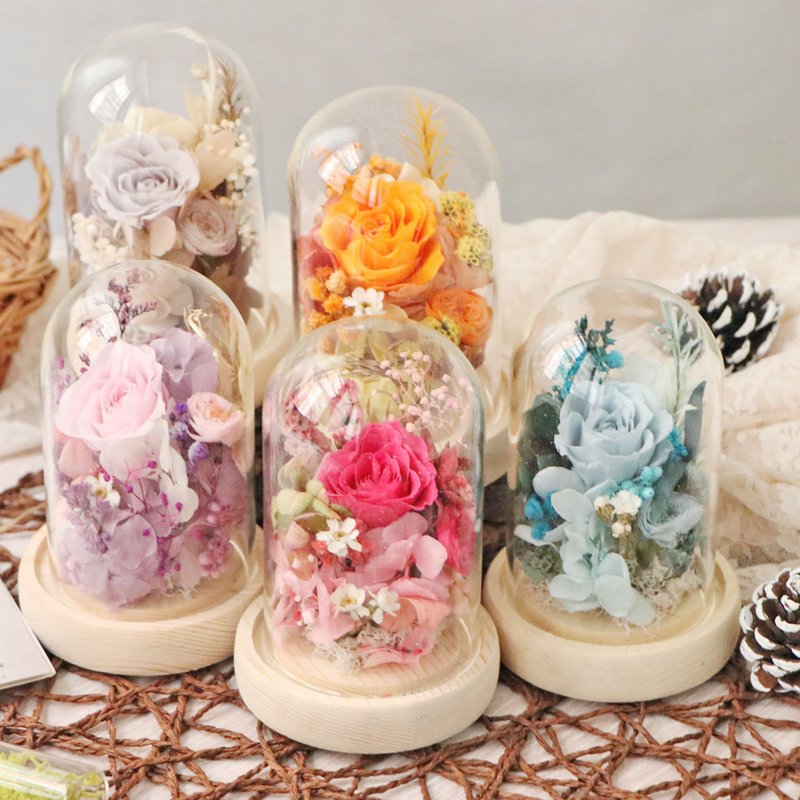 小玻璃花盅 成品 极度花燥 永生花 花礼 - 干燥花/捧花 - 植物．花 粉红色