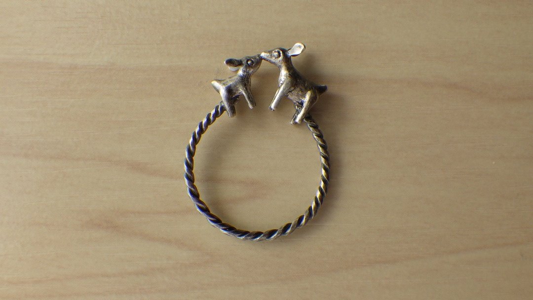 Umbilical Cord Ring - 戒指 - 其他金属 银色