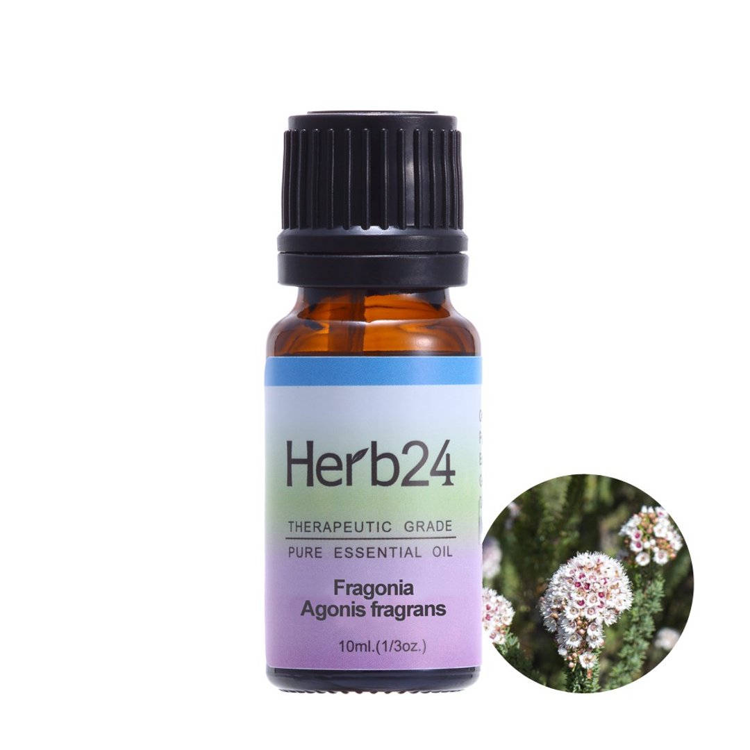 芳枸叶 纯质精油 10ml - 香薰/精油/线香 - 精油 