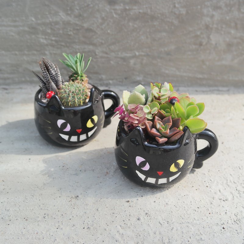 【豆豆多肉】【黑猫造型组合】乔迁│送礼│升迁│多肉植物 - 植栽/盆栽 - 陶 