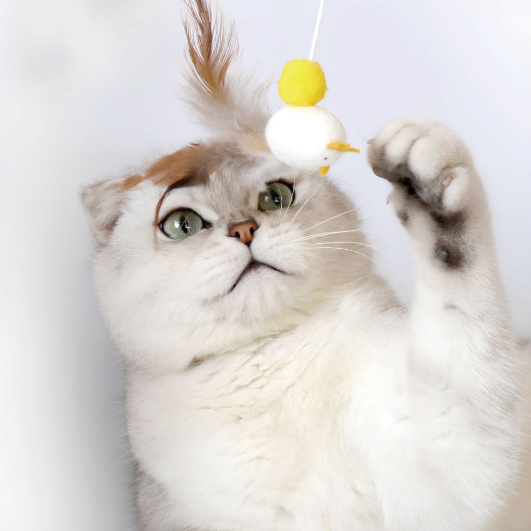 【日本CattyMan】蚕茧气味让猫咪超着迷 ~ 蚕茧逗猫棒 - 玩具 - 其他材质 多色