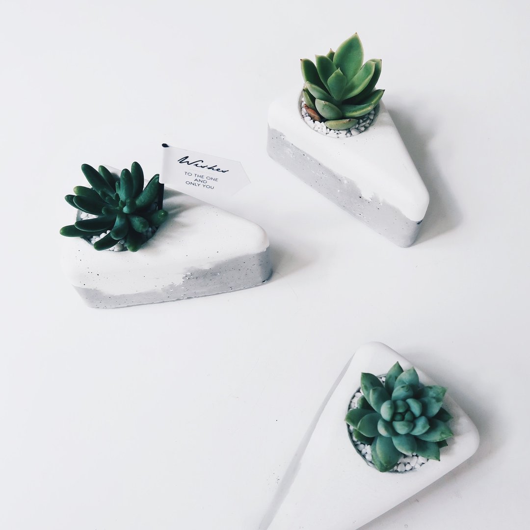 PIECE OF CAKE 切块蛋糕│双层鲜奶油水泥盆器・多肉/仙人掌花器 - 植栽/盆栽 - 水泥 白色