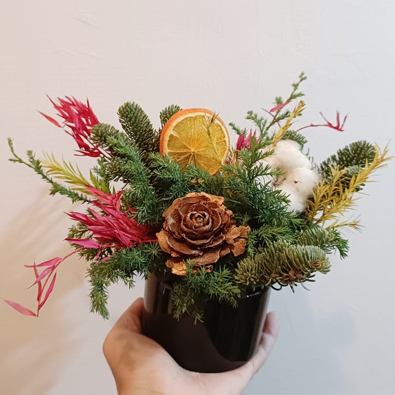 圣诞布置选品 新鲜诺贝松桌花盆花盆栽|开店开幕展览生日礼物树七 - 植栽/盆栽 - 植物．花 