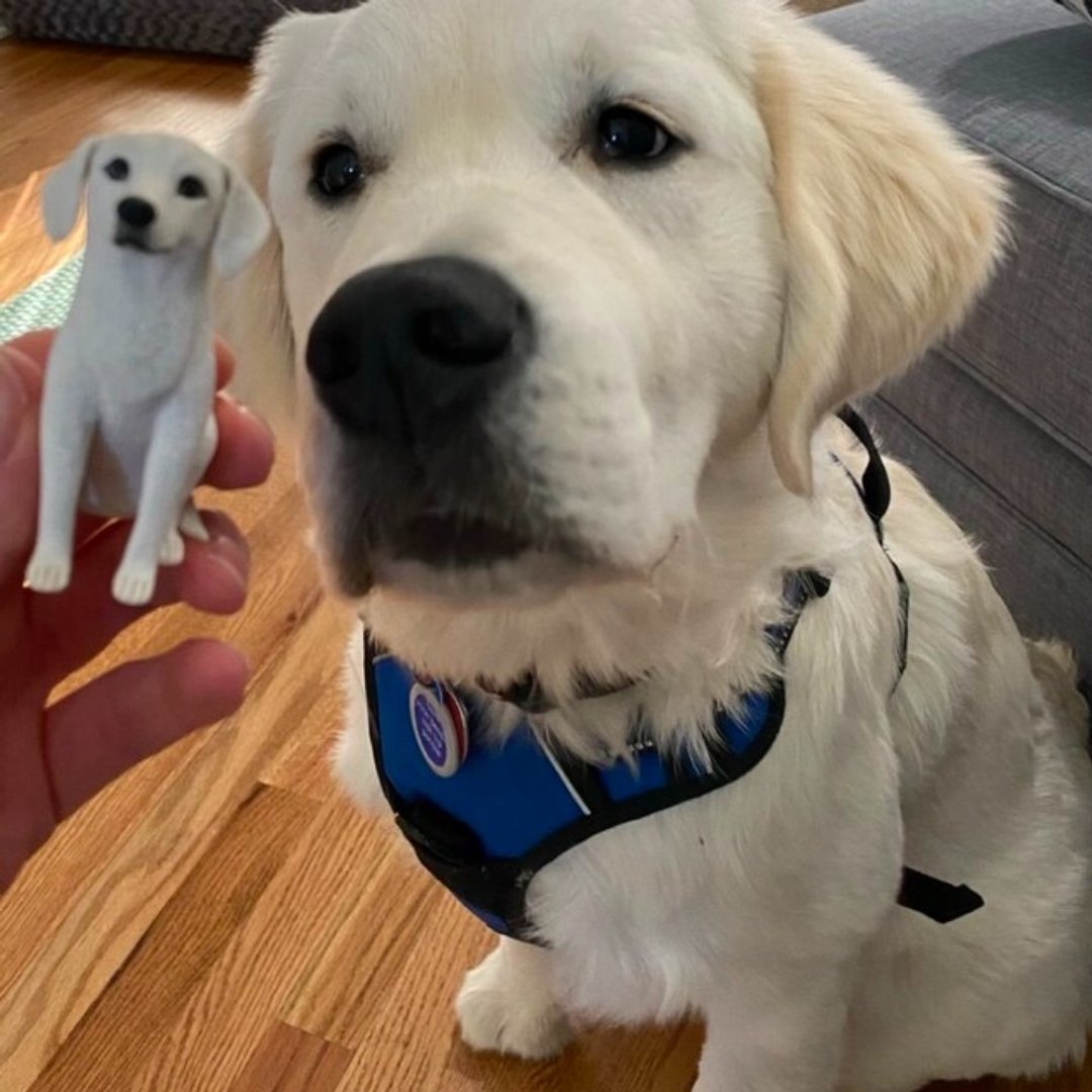 纯手工定制3D宠物艺术娃娃 订制狗狗猫咪毛小孩似颜绘肖像画公仔 - 玩偶/公仔 - 粘土 多色