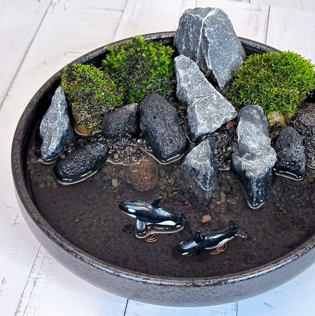 新手入门 DIY-微景观苔藓野趣盆 /  鲸跃波涛 - 摆饰 - 植物．花 