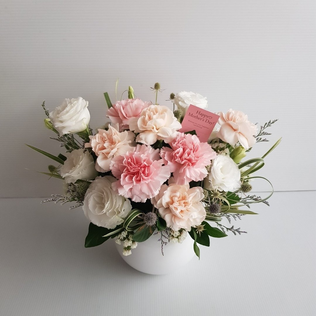 鲜花。Love妈咪。母亲节进口康乃馨圆盆花。温柔妈咪杏粉白色系。 - 植栽/盆栽 - 植物．花 粉红色