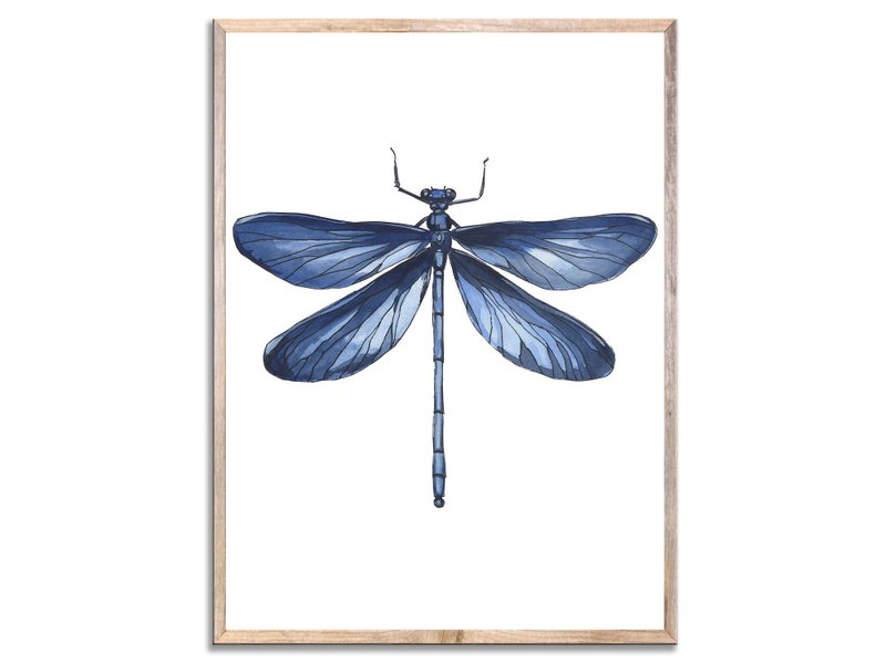 Dragonfly Art Print Blue Dragonfly Wall Art Beautiful Insect Watercolor Painting - 海报/装饰画/版画 - 纸 蓝色