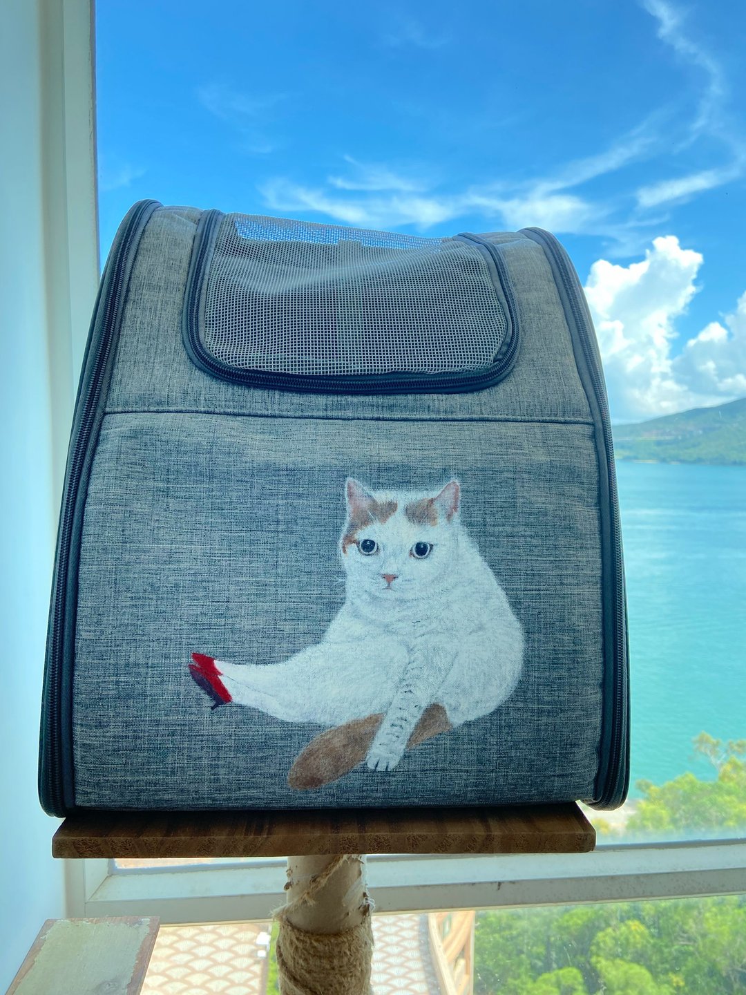 全手绘猫猫外游背包 - 手提包/手提袋 - 其他材质 