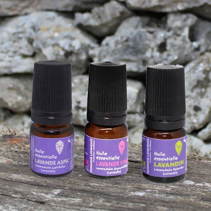 法国原装薰衣草精油-滚珠瓶 - 香薰/精油/线香 - 玻璃 紫色