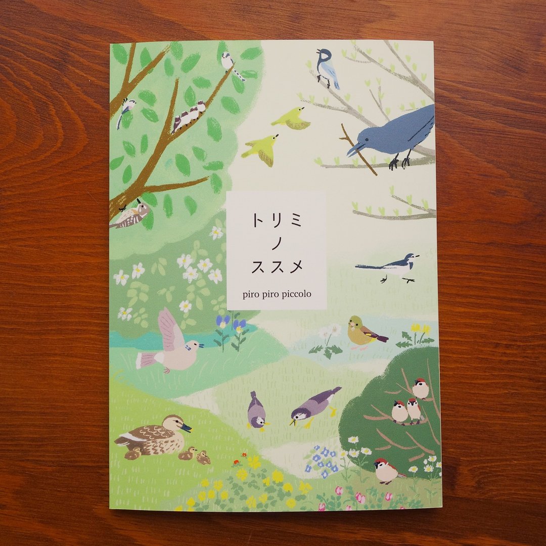 独立杂志 ZINE 观鸟推荐 全彩 手绘 - 刊物/书籍 - 纸 