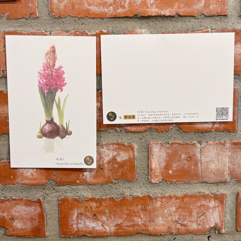 生物绘图明信片- 植物绘by郑杏倩老师作品 - 卡片/明信片 - 纸 卡其色