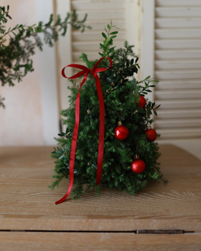 新鲜雪松简约质感圣诞树 - 干燥花/捧花 - 植物．花 