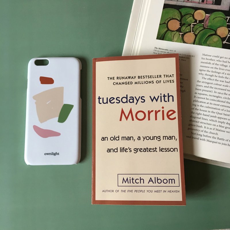 ownlight 苹果iPhone安卓手机壳 原创小众设计 简欧抽象艺术 - 其他 - 塑料 